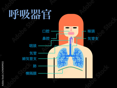 黒バックに日本語で各部位の名称が記載された呼吸器官のシンプルなイラスト