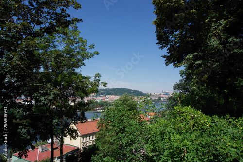 view from the top of the hill