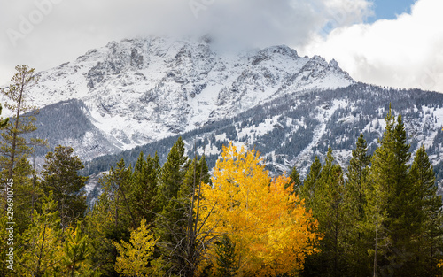 Mountain covered by snow and cloud in Grand Teton National Park