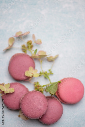pink macaroons on a blue background with flowers