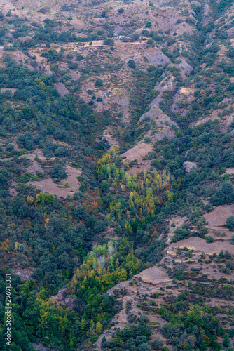 High mountain vegetation in Sierra Nevada (Spain)