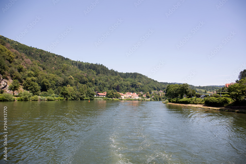 Fototapeta premium blick auf einen bewaldeten hügel am ufer des neckar in heidelberg deutschland fotografiert während einer schiffstour an einem sonnigen Tag im Sommer