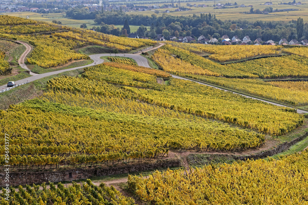 The Route des Vins (Wines Route) winds between vineyards of Alsace