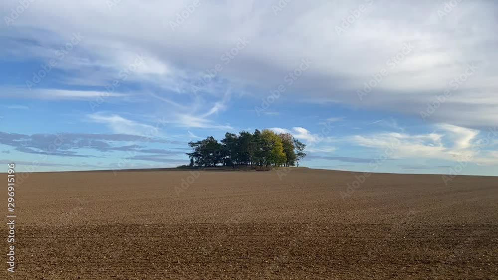 Group of trees on plowed field. Autumn landscape and dramatic sky on the empty field. Group of trees on plowed field. Autumn landscape and dramatic sky on the empty field.
