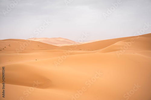 Warm desert