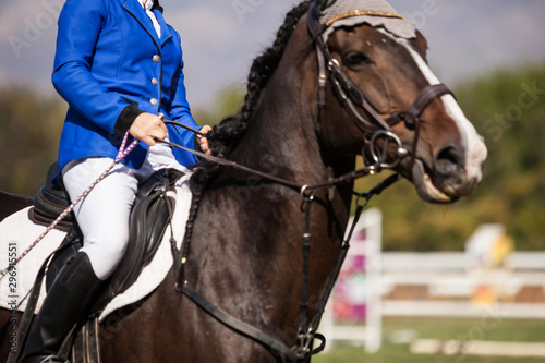 Dressage horse and a rider