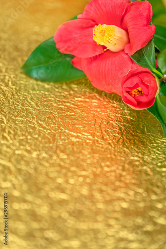 A Japanese greeting card with a Tsubaki flower also called the winter rose on a golden crumpled paper background. photo