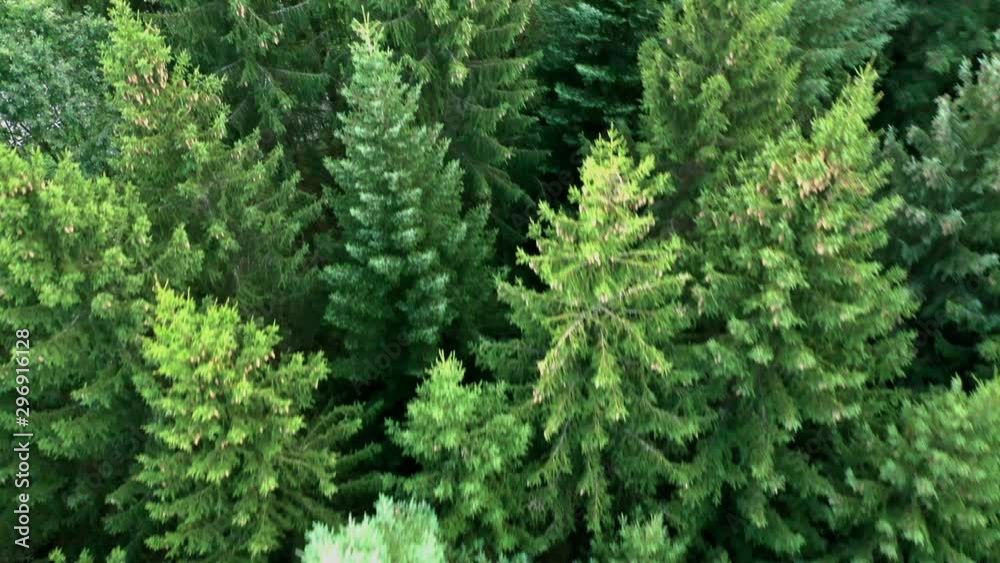 Feld, Wald und Wiesen - Kameraflug Feld, Wald und Wiesen - Kameraflug