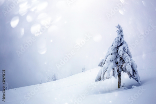 Scenic winter landscape with snowy fir trees and small cottage. © belyaaa