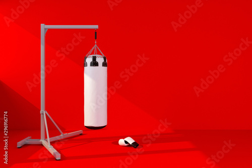 Εκτύπωση καμβά punching bag with red wall