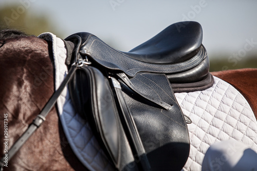 A saddle saddled on the back of a sport horse