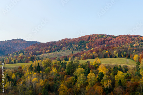 Fototapeta Naklejka Na Ścianę i Meble -  kolory jesieni bieszczady 