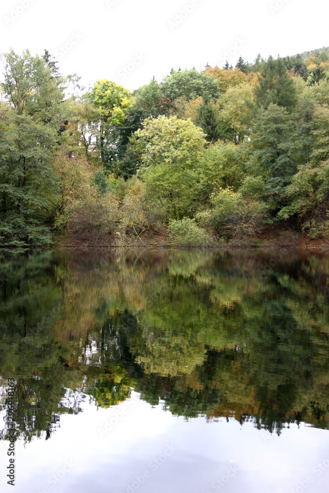 Thuringian Wodd mirroring in a Lake Thuringian Wodd mirroring in a Lake
