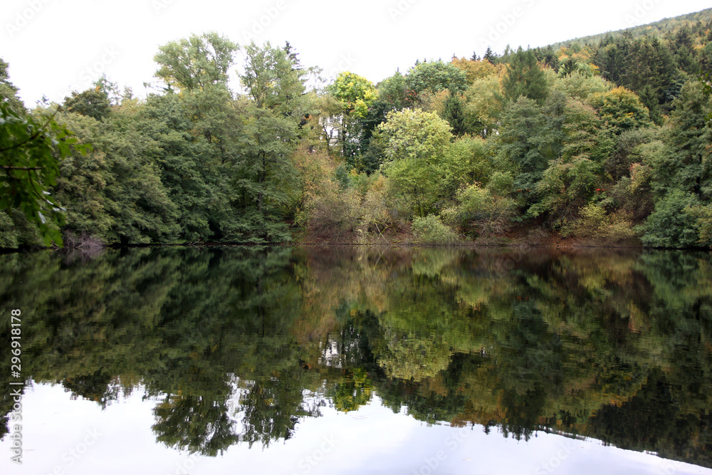 Thuringian Wodd mirroring in a Lake Thuringian Wodd mirroring in a Lake