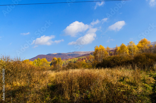 Fototapeta Naklejka Na Ścianę i Meble -  kolory jesieni bieszczady 