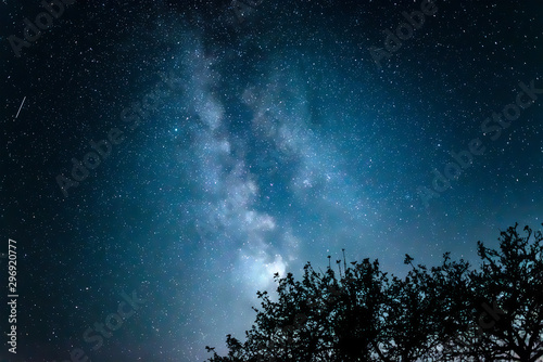 Night starry sky against the background of the Milky Way and trees.