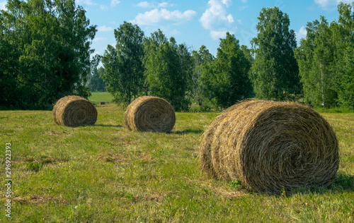 View of hay bales on the field after harvest