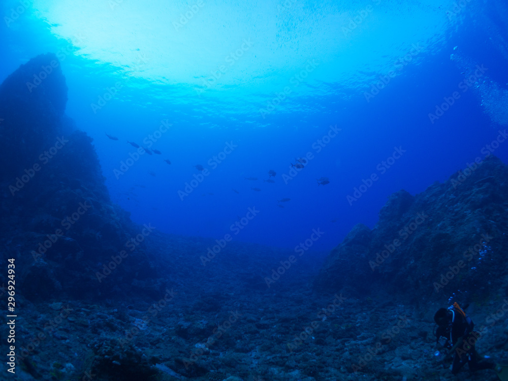 Naklejka premium トカラ列島_口之島_スキューバダイビング