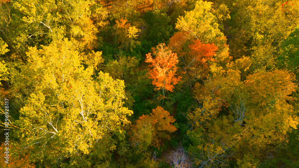 Fall from a drone Fall from a drone