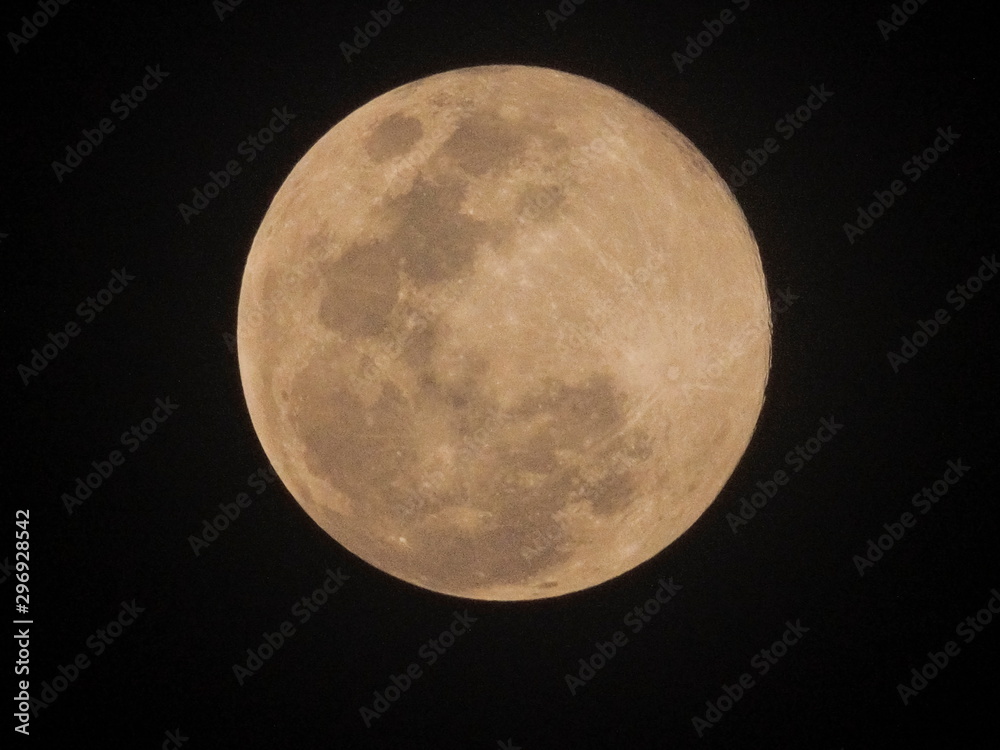 Fototapeta premium Super Blue Blood Moon at night March, 31, 2018, view of full moon rise up in dark sky background taken in Thailand, Asia.
