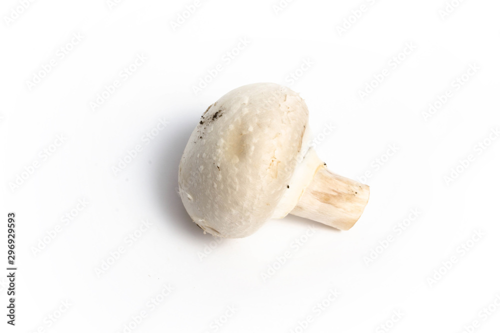 Champignon mushroom on a white background isolate Champignon mushroom on a white background isolate