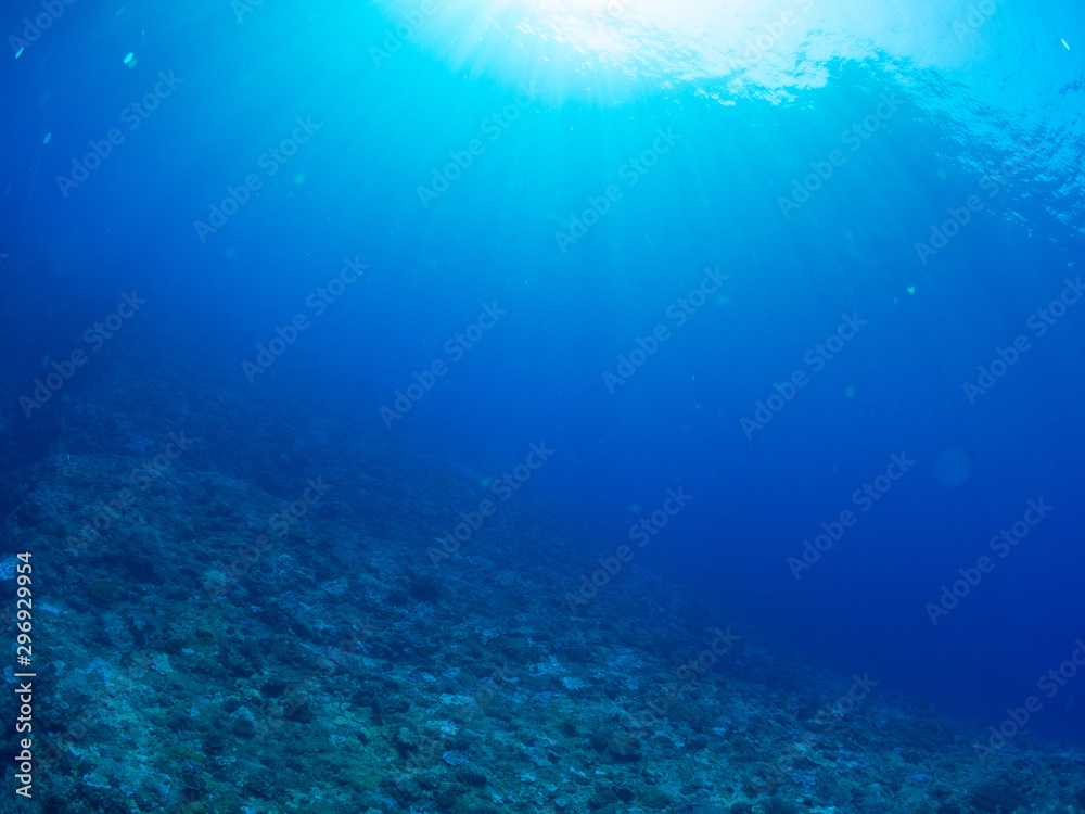 Fototapeta premium トカラ列島_口之島_スキューバダイビング