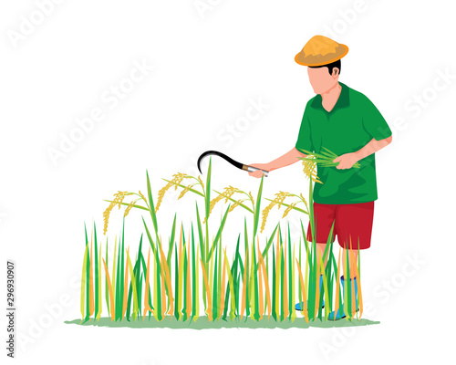 farmer harvest rice vector design