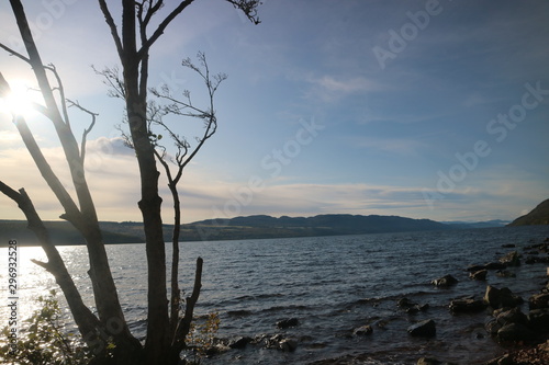 loch ness and then tree  © Rosewellphotography 