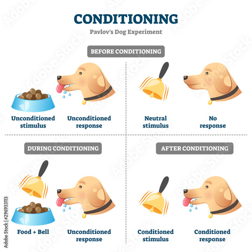 Conditioning vector illustration. Labeled Pavlovian respondent learn scheme