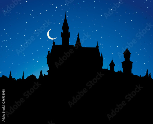 Famous German castle. Vector drawing