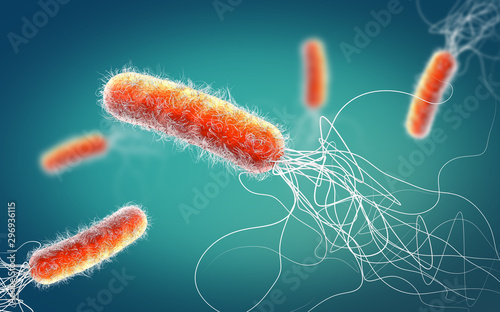 Red colored multiple antibiotic resistant Pseudomonas aeruginosa bacterium - 3d illustration photo
