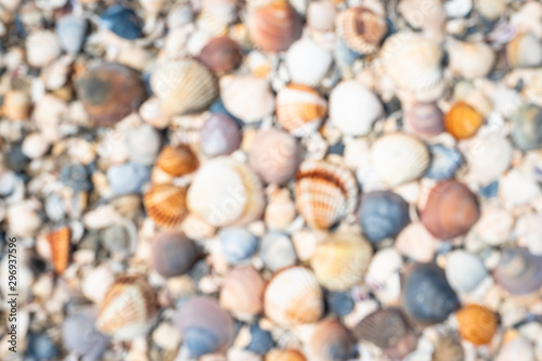 Blurred background. Shell background. Out of focus photo. Colorful shells on the sand beach. Space for text.