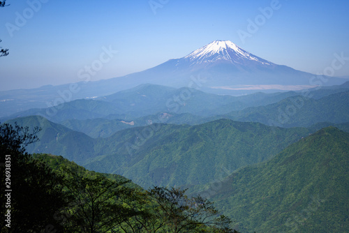 檜洞丸の登山道