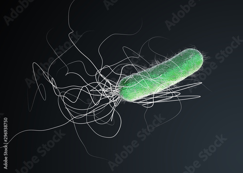 Green colored multiple antibiotic resistant Pseudomonas aeruginosa bacterium - 3d illustration photo