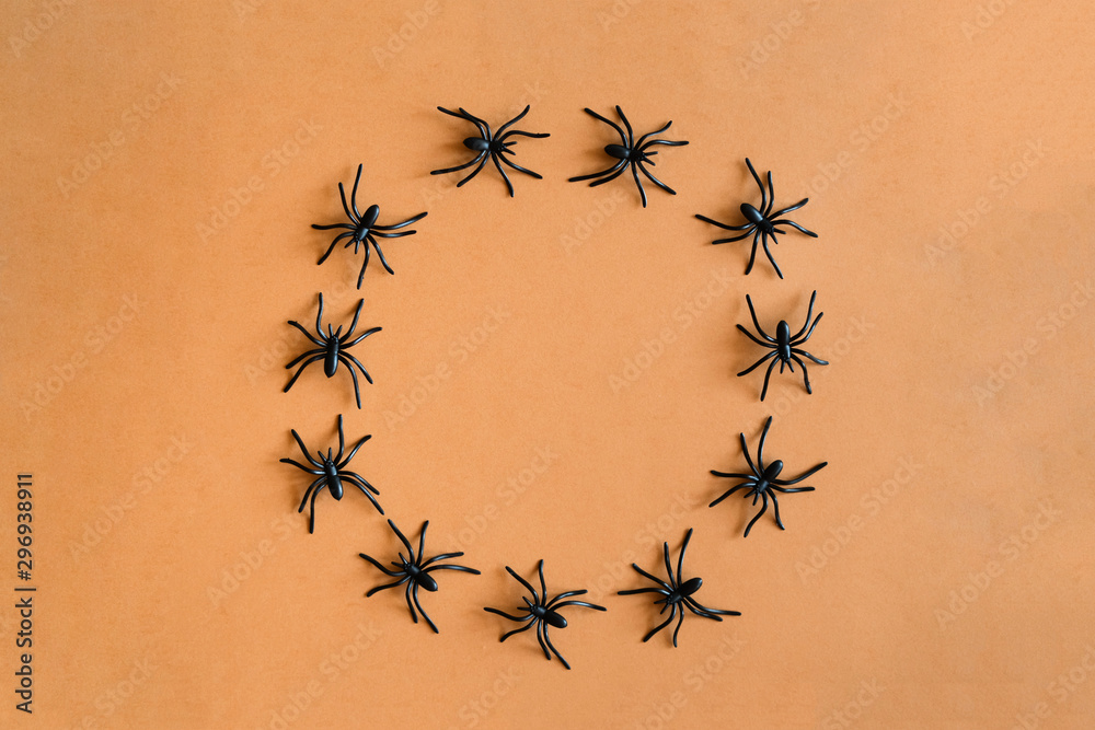Halloween background decoration holiday concept. Minimal flat lay view of black spide. October