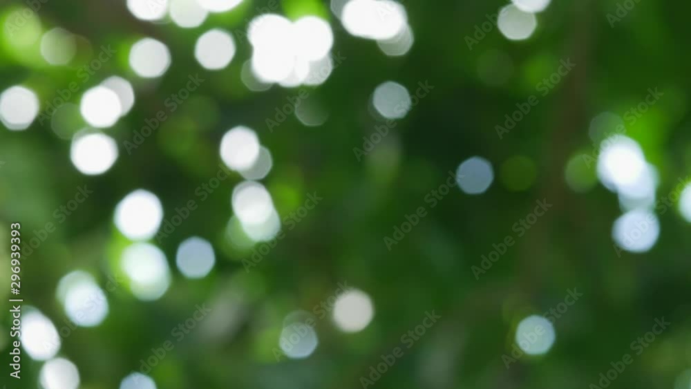 Blurred bokeh background