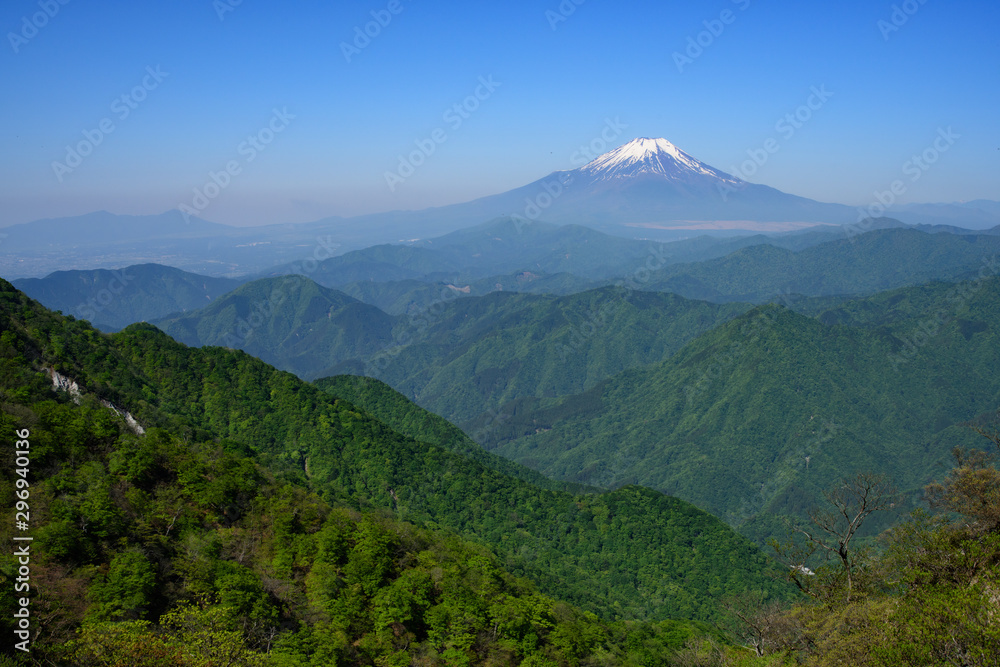 檜洞丸の登山道