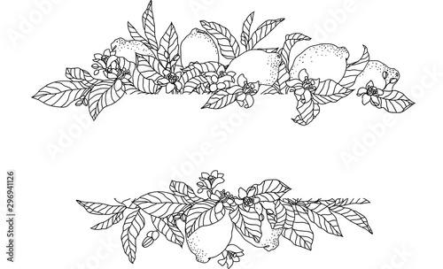 Vector frame illustration with lemon fruits and flowers