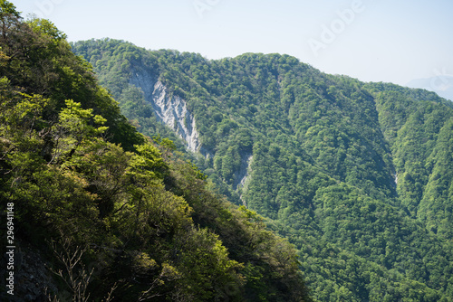 檜洞丸の登山道