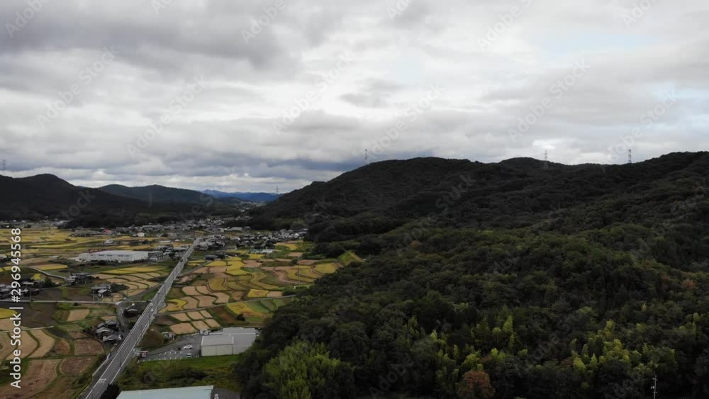 Rice terraces in Setuchi,Okayama,Japan