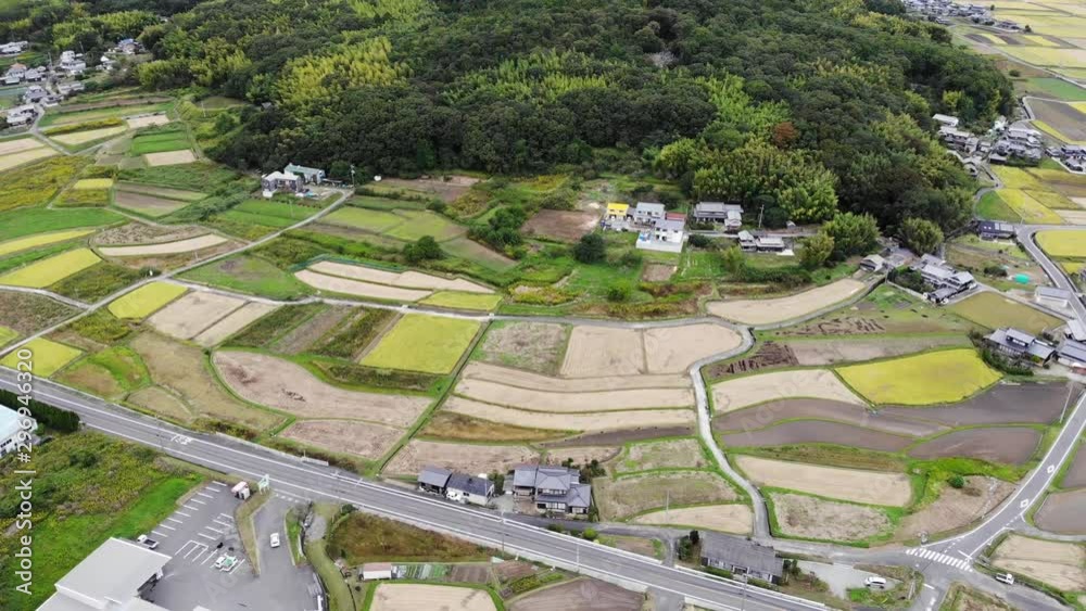 Rice terraces in Setuchi,Okayama,Japan Rice terraces in Setuchi,Okayama,Japan