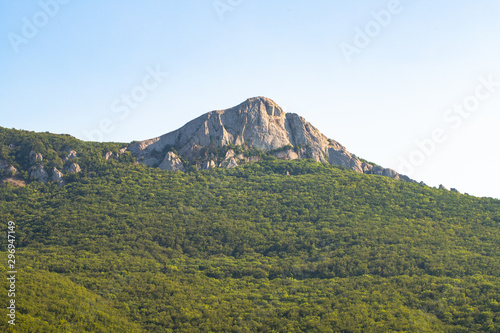 Fototapeta Naklejka Na Ścianę i Meble -  Crimean Mountain With Dense Forest In Crimea, Russia.