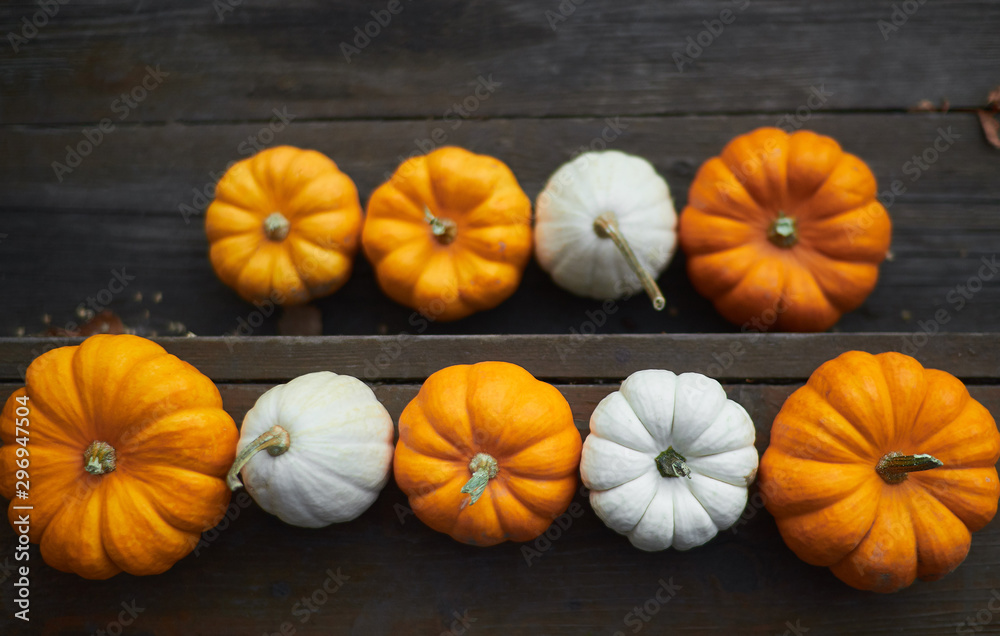 Decorative orange and white pumpkins on dark wooden steps with foreground and background. Thanksgiving Halloween holiday design blank with space for text. Decorative orange and white pumpkins on dark wooden steps with foreground and background. Thanksgiving Halloween holiday design blank with space for text.
