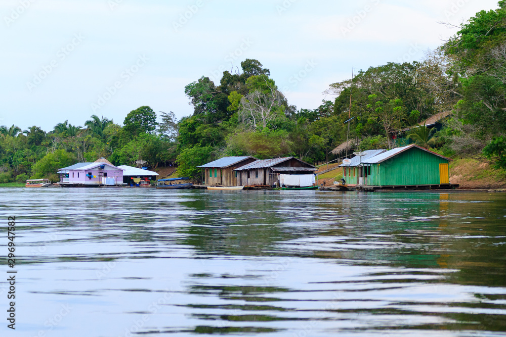 Houses along Amazonas river. Brazilian panorama