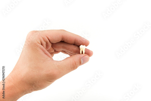 hand holding a human tooth on a white background