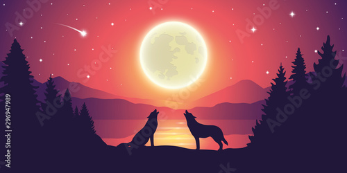 two wolves by the lake howling to the full moon in starry sky vector illustration EPS10