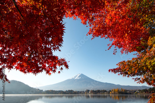 Fuji Mountain and Red Maple Trees in Autumn at Kawaguchiko Lake, Japan © iamdoctoregg