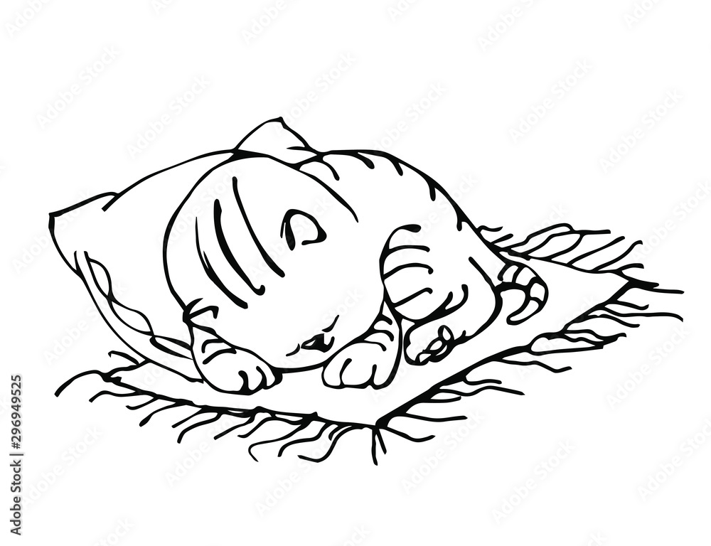 cheerful kitten sleeping on rug with pillow vector illustration in black ink isolated on white background in hand drawn style cheerful kitten sleeping on rug with pillow vector illustration in black ink isolated on white background in hand drawn style