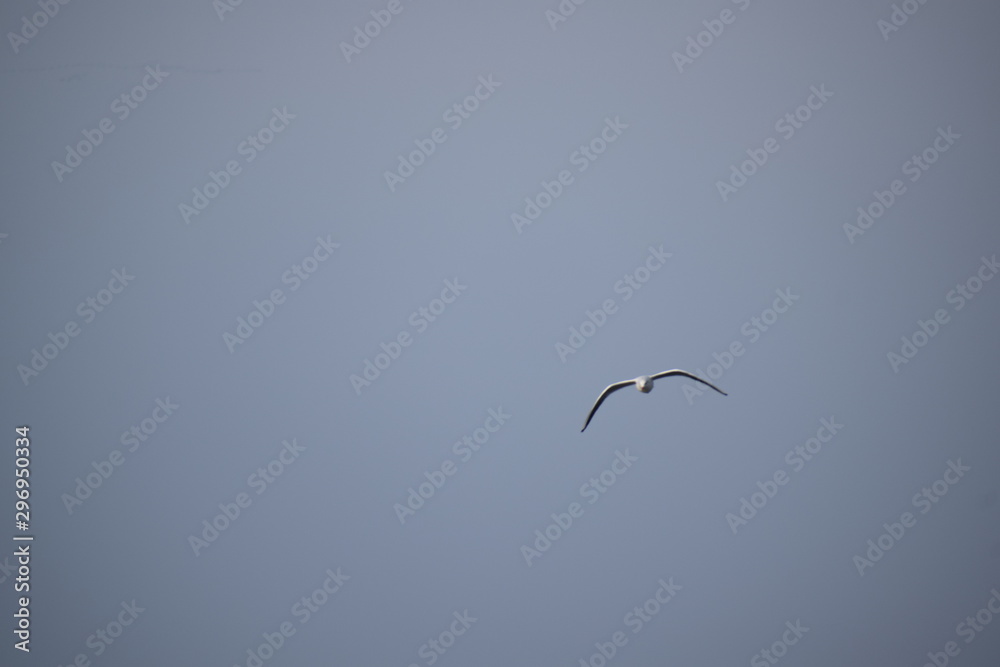 Obraz premium Hebst an derOstsee