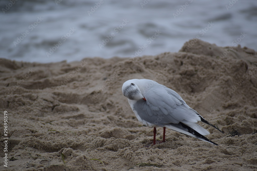 Herbst an der Ostsee Herbst an der Ostsee